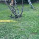 Bed & Breakfast Li Paduli Alvi 3*