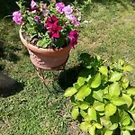 Bed & Breakfast Li Paduli Alvi Cannigione
