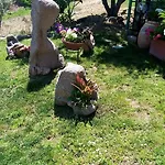 Bed & Breakfast Li Paduli Alvi Cannigione