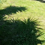 Li Paduli Alvi 3* Cannigione
