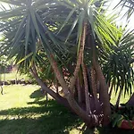 Li Paduli Alvi Bed & Breakfast Cannigione