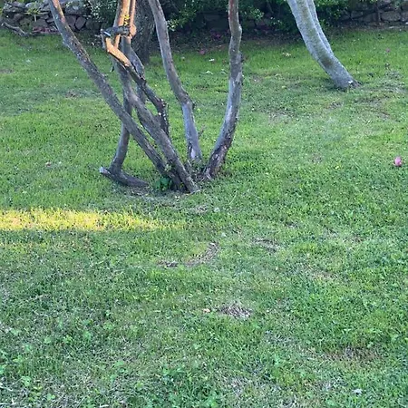 Couette-café Li Paduli Alvi 3*