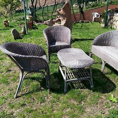 Li Paduli Alvi