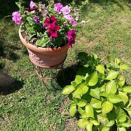 Bed & Breakfast Li Paduli Alvi Cannigione