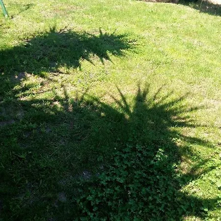 Li Paduli Alvi 3* Cannigione
