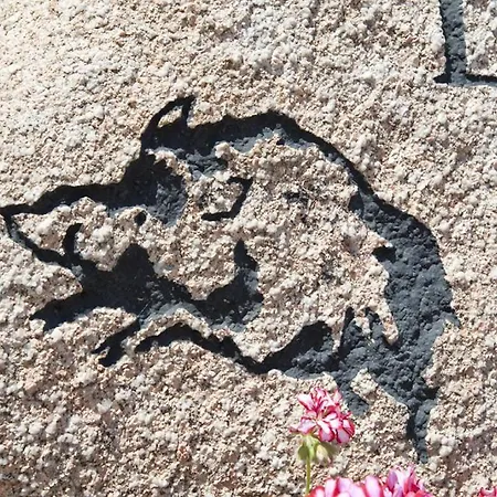 Couette-café Li Paduli Alvi Cannigione