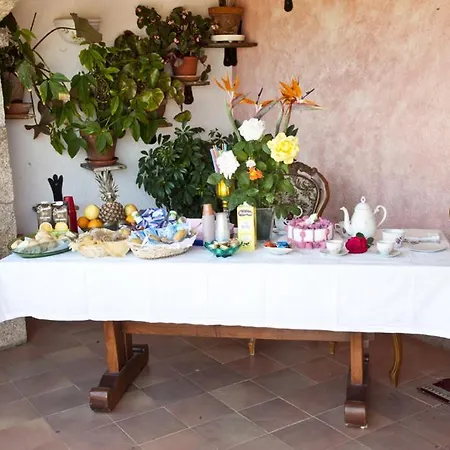 Li Paduli Alvi Cannigione