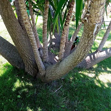 Li Paduli Alvi Panzió Cannigione
